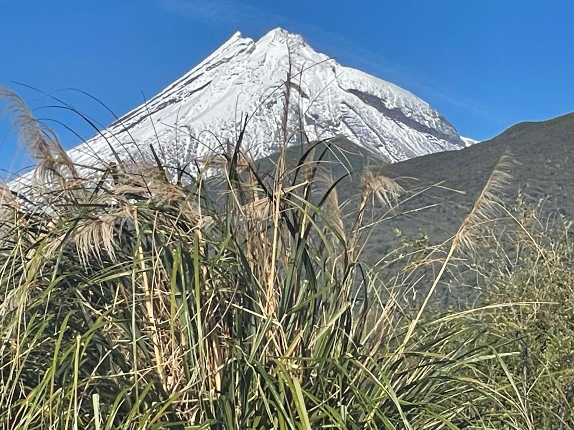 Mangorei Heights - New Plymouth Bed & Breakfast Eksteriør bilde